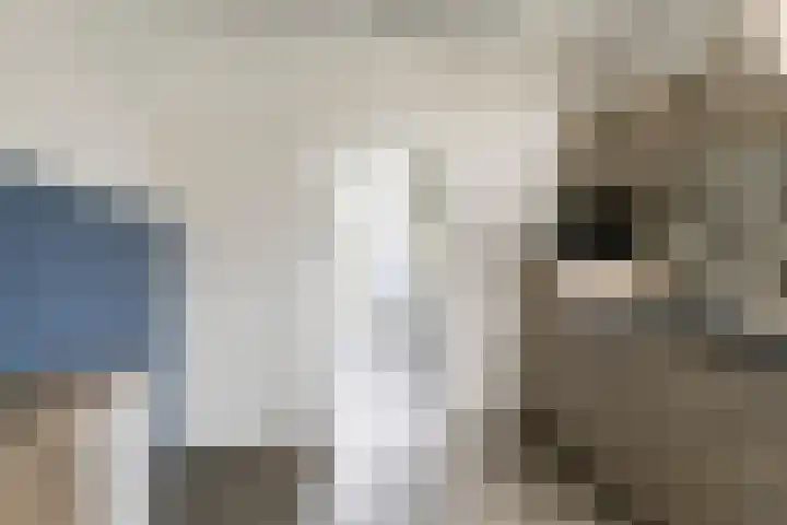 Ravenstraat 88 Schellinkhout thumbnail 15