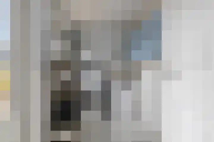 Ravenstraat 88 Schellinkhout thumbnail 16