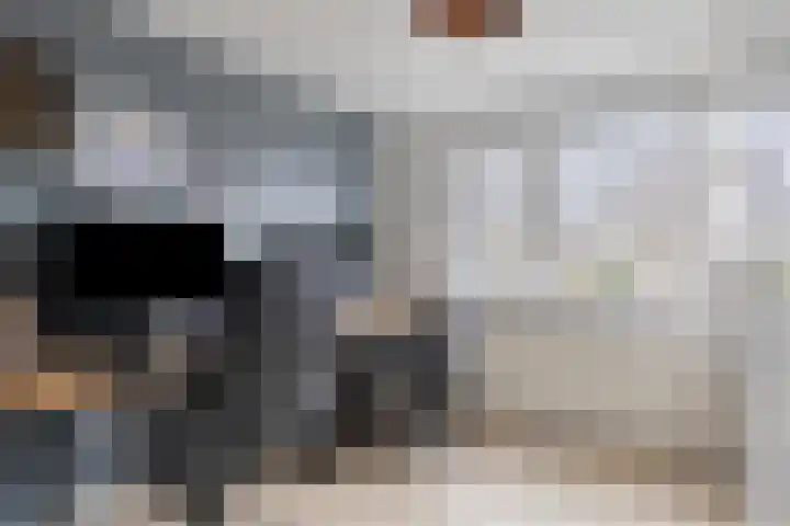 Ravenstraat 88 Schellinkhout thumbnail 19