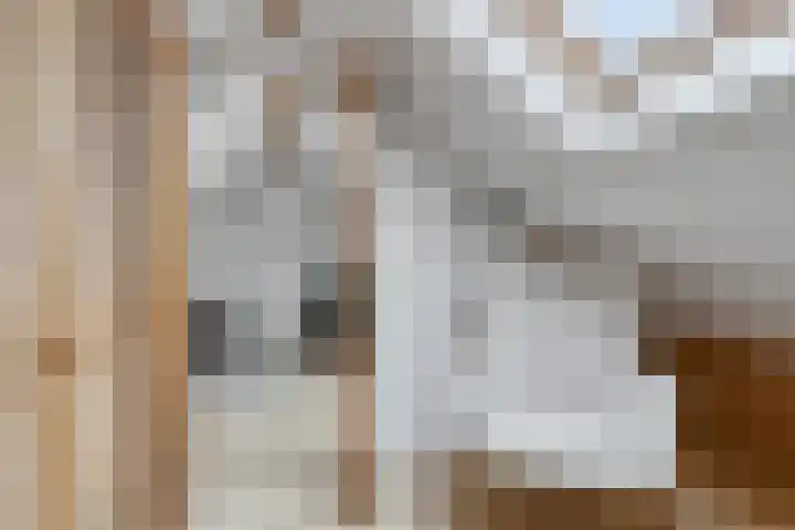 Ravenstraat 88 Schellinkhout thumbnail 23