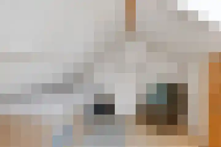 Ravenstraat 88 Schellinkhout thumbnail 24