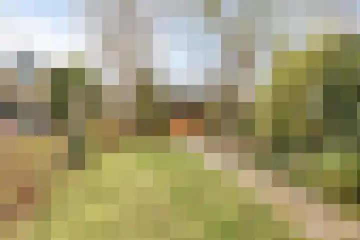Ravenstraat 88 Schellinkhout thumbnail 26