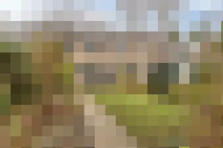 Ravenstraat 88 Schellinkhout thumbnail 27