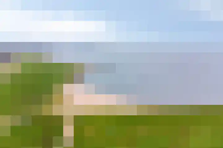 Ravenstraat 88 Schellinkhout thumbnail 31