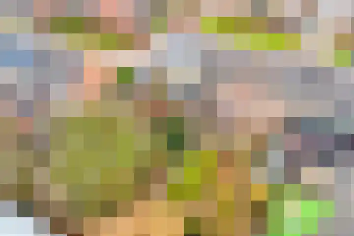 Ravenstraat 88 Schellinkhout thumbnail 5