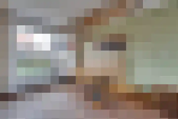 Ravenstraat 98 Schellinkhout thumbnail 15