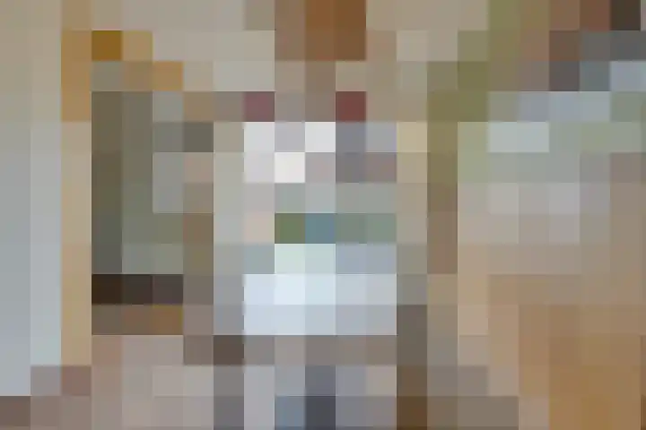 Ravenstraat 98 Schellinkhout thumbnail 16
