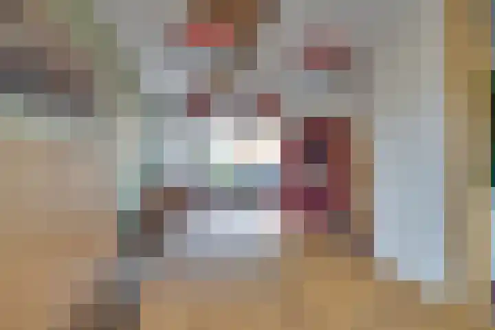Ravenstraat 98 Schellinkhout thumbnail 18