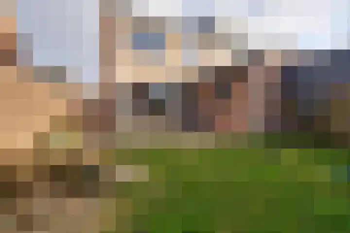 Ravenstraat 98 Schellinkhout thumbnail 27