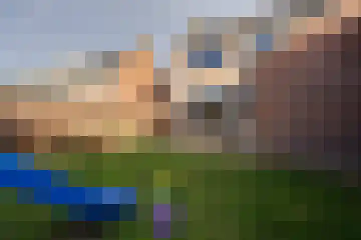 Ravenstraat 98 Schellinkhout thumbnail 28