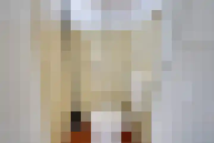 Ravenstraat 98 Schellinkhout thumbnail 30