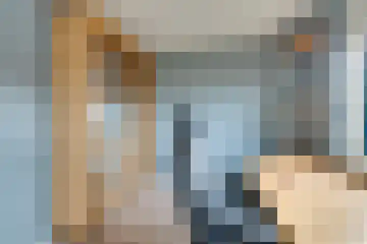 Ravenstraat 98 Schellinkhout thumbnail 40
