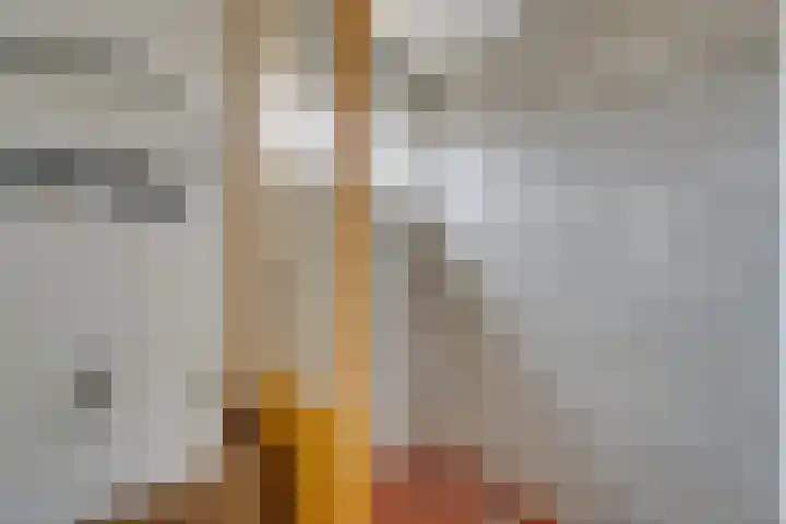 Ravenstraat 98 Schellinkhout thumbnail 43