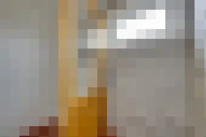 Ravenstraat 98 Schellinkhout thumbnail 44