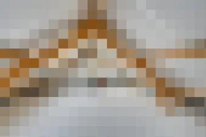 Ravenstraat 98 Schellinkhout thumbnail 45