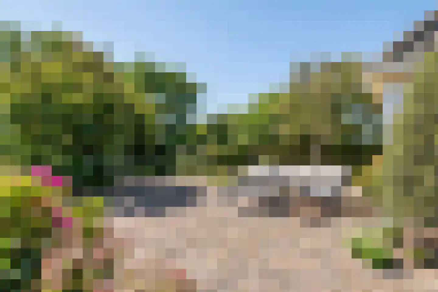 Ravenswaaijsesteeg 25 Ravenswaaij thumbnail 10