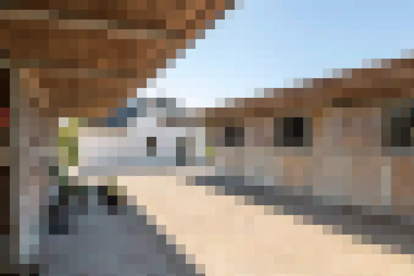 Ravenswaaijsesteeg 25 Ravenswaaij thumbnail 17