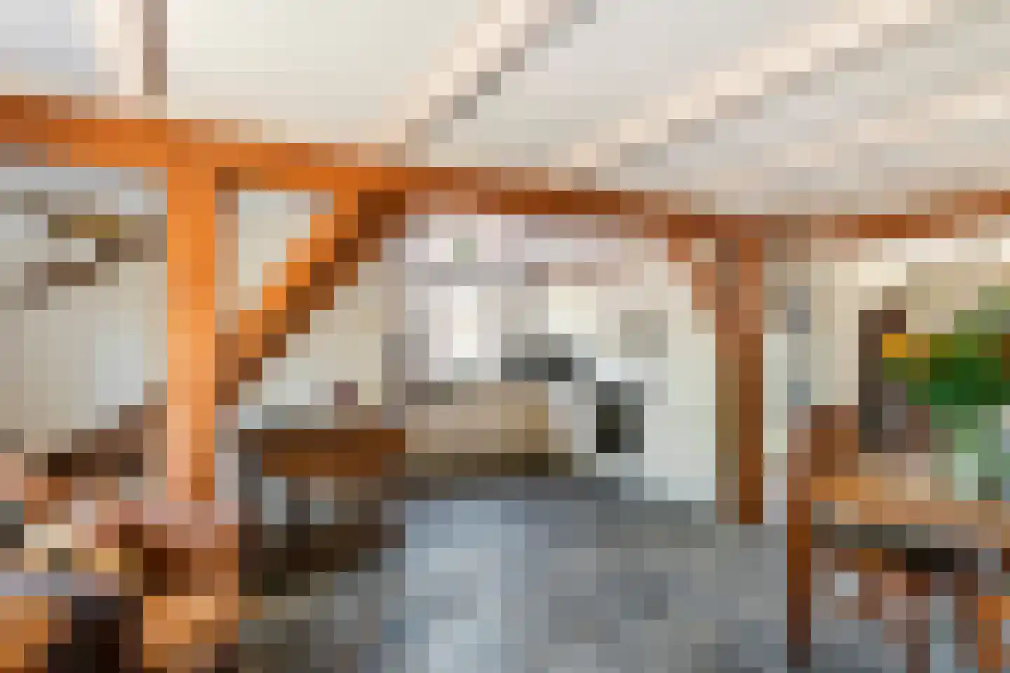 Ravenswaaijsesteeg 25 Ravenswaaij thumbnail 20