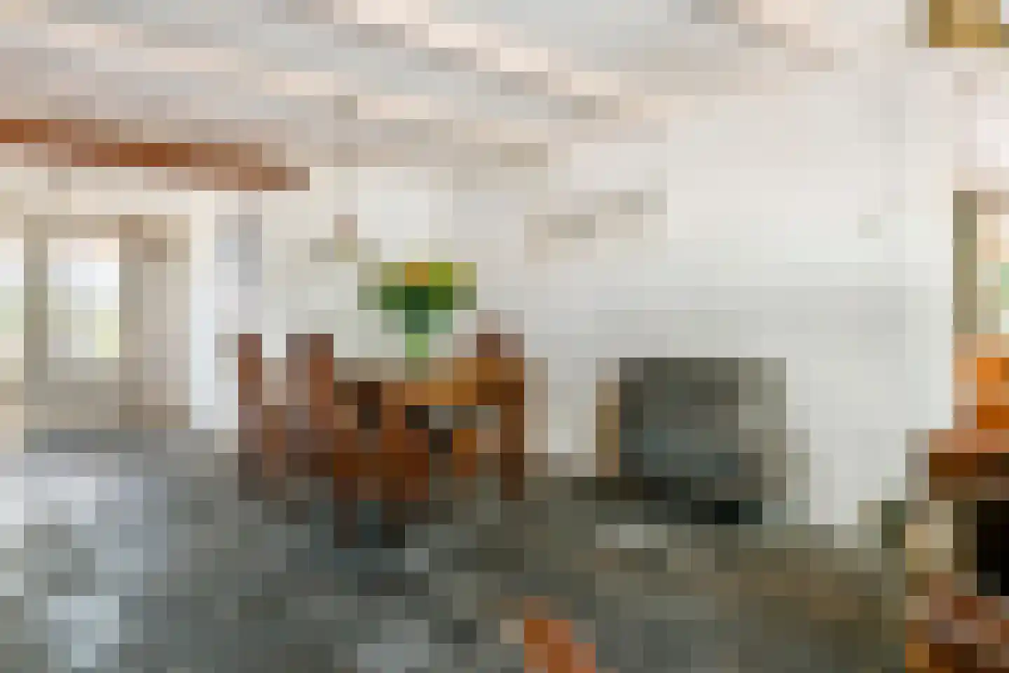 Ravenswaaijsesteeg 25 Ravenswaaij thumbnail 25