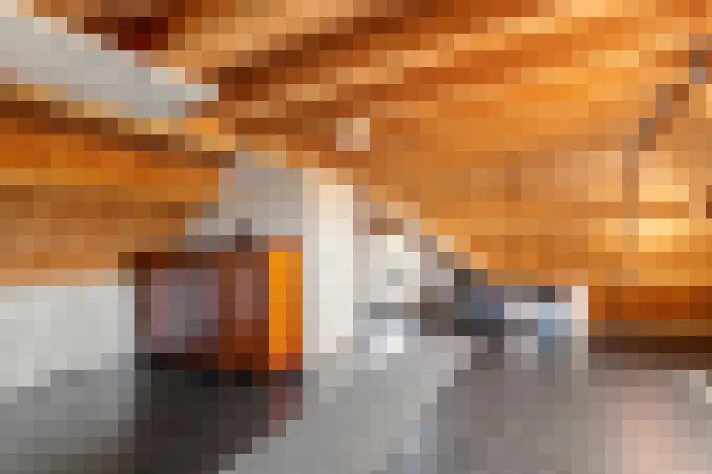 Ravenswaaijsesteeg 25 Ravenswaaij thumbnail 38
