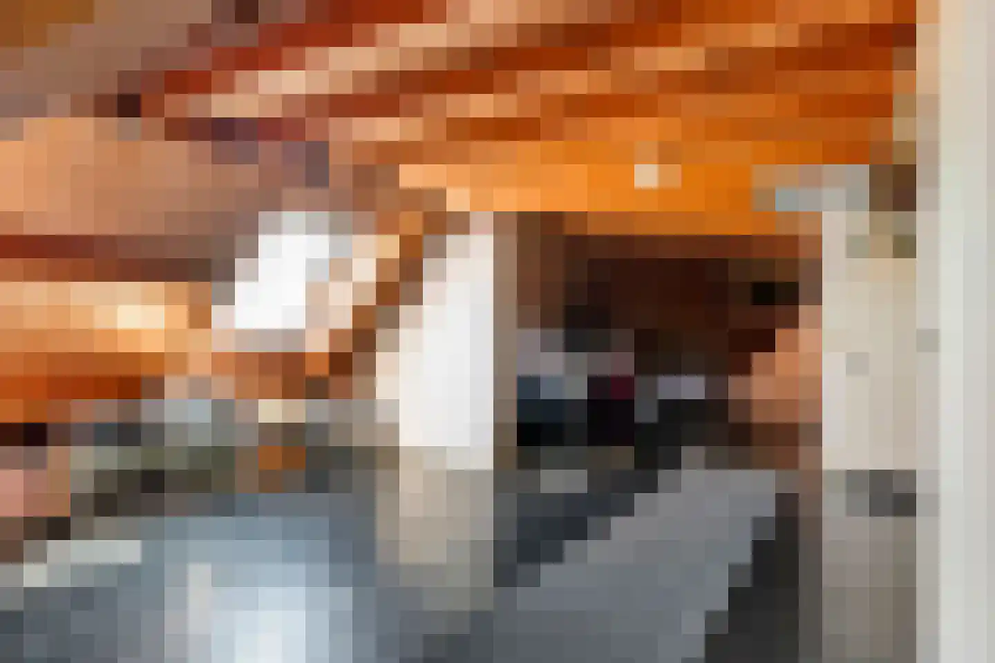 Ravenswaaijsesteeg 25 Ravenswaaij thumbnail 39