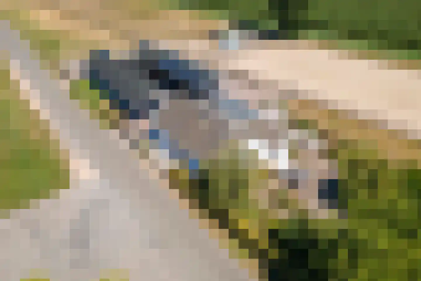 Ravenswaaijsesteeg 25 Ravenswaaij thumbnail 4
