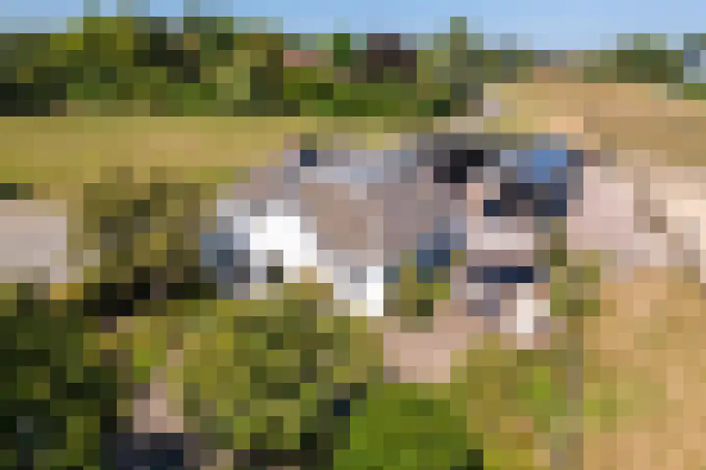 Ravenswaaijsesteeg 25 Ravenswaaij thumbnail 40