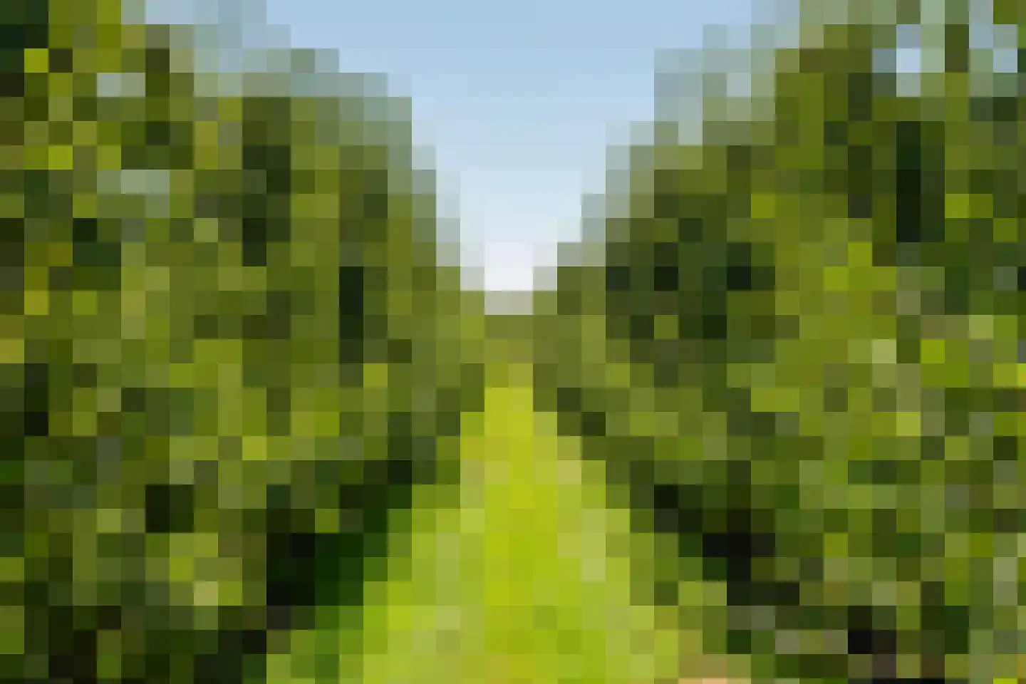 Ravenswaaijsesteeg 25 Ravenswaaij thumbnail 45