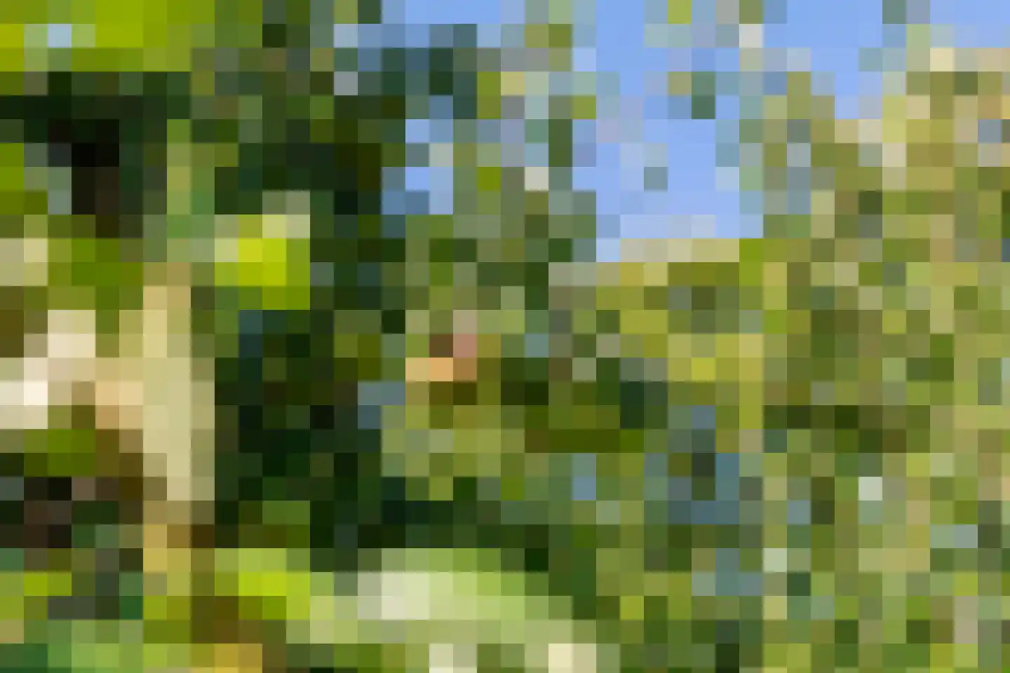 Ravenswaaijsesteeg 25 Ravenswaaij thumbnail 46