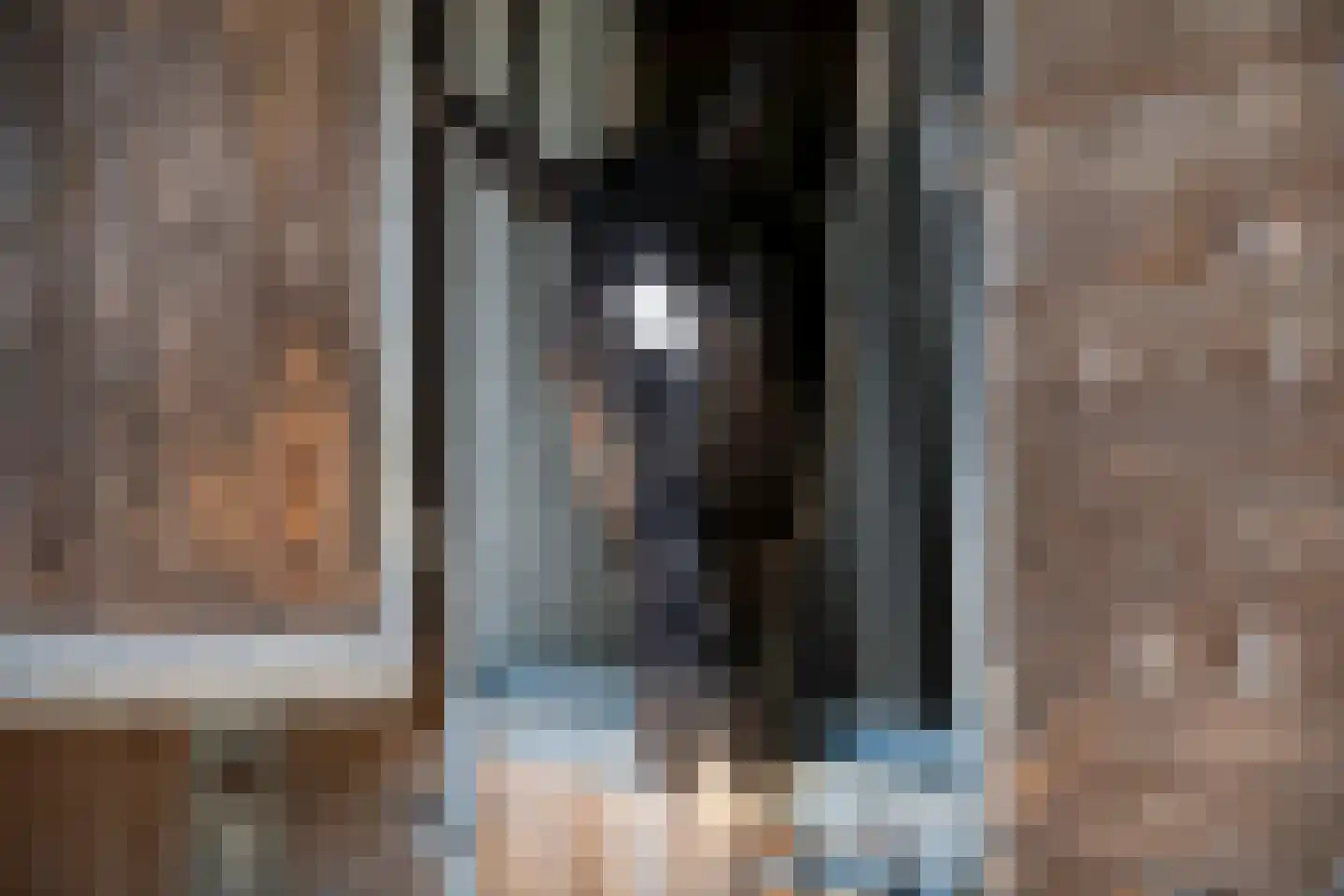 Ravenswaaijsesteeg 25 Ravenswaaij thumbnail 48
