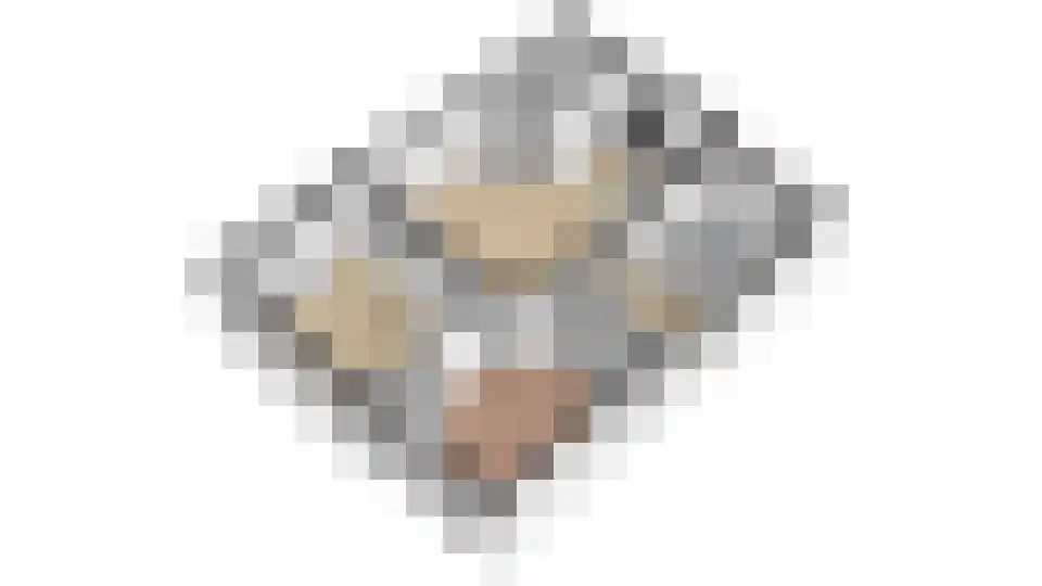 Ravenswaaijsesteeg 25 Ravenswaaij thumbnail 51