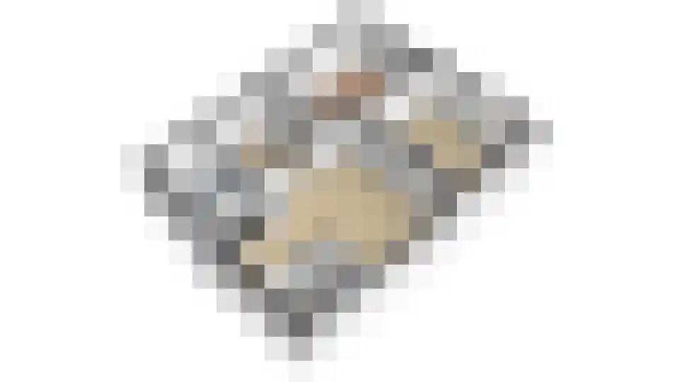 Ravenswaaijsesteeg 25 Ravenswaaij thumbnail 52