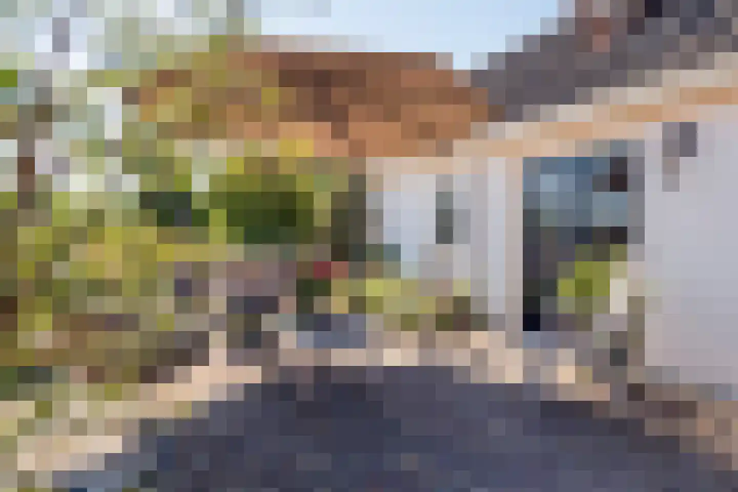 Ravenswaaijsesteeg 25 Ravenswaaij thumbnail 8