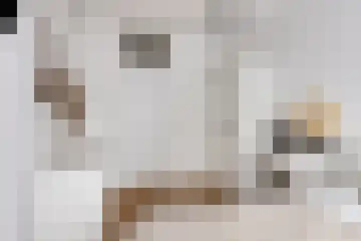 Ravenswaaijstraat 28 Tiel thumbnail 17
