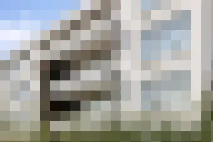 Ravenswaaijstraat 28 Tiel thumbnail 25