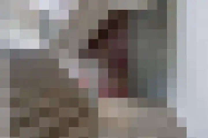 Ravenswaaijstraat 50 Tiel thumbnail 18