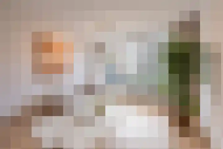 Ravenswaaijstraat 50 Tiel thumbnail 24