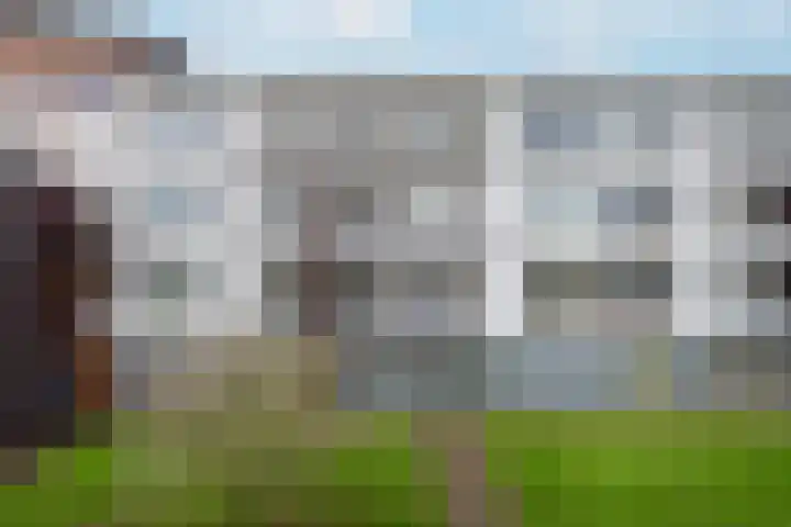 Ravenswaaijstraat 50 Tiel thumbnail 5