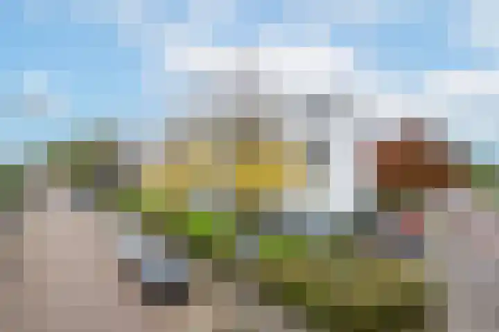 Ravenswaaijstraat 50 Tiel thumbnail 6