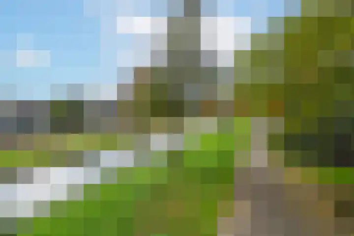 Ravenswaaijstraat 50 Tiel thumbnail 7
