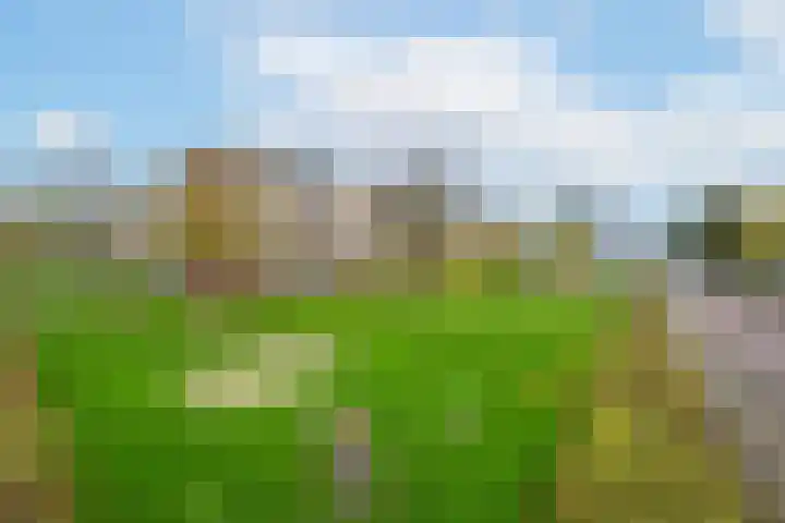 Ravenswaaijstraat 50 Tiel thumbnail 8