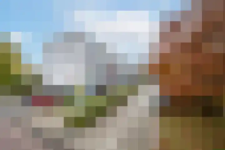 Ravenswaaijstraat 50 Tiel thumbnail 9