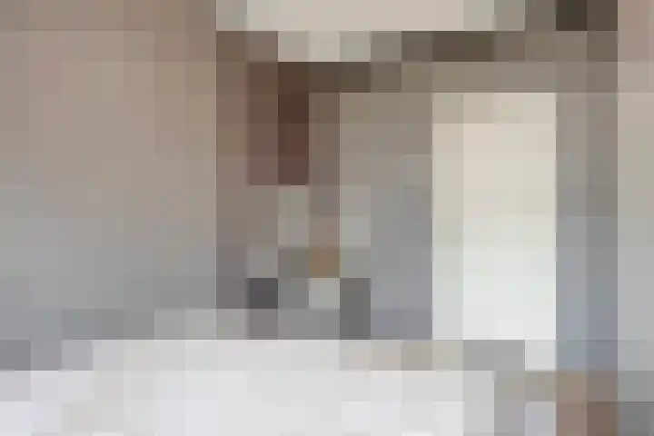 Ravenswaaijstraat 58 Tiel thumbnail 17