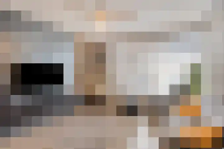 Ravenswaaijstraat 58 Tiel thumbnail 7