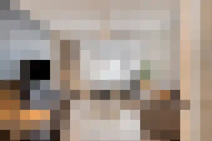 Ravenswaaijstraat 58 Tiel thumbnail 8