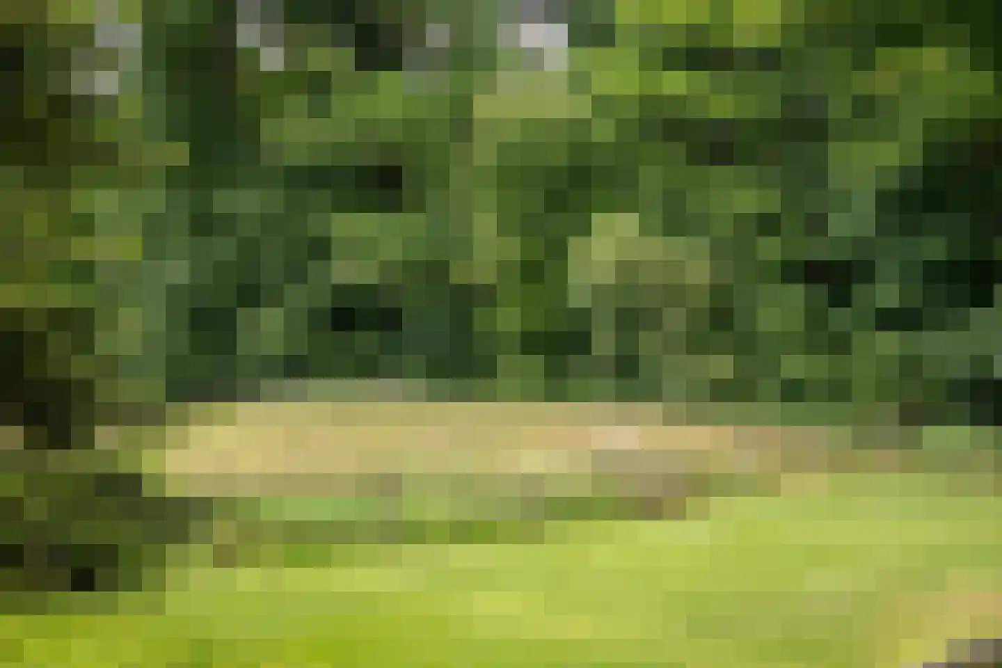 Ravensweerdsweg 10 Gorssel thumbnail 25