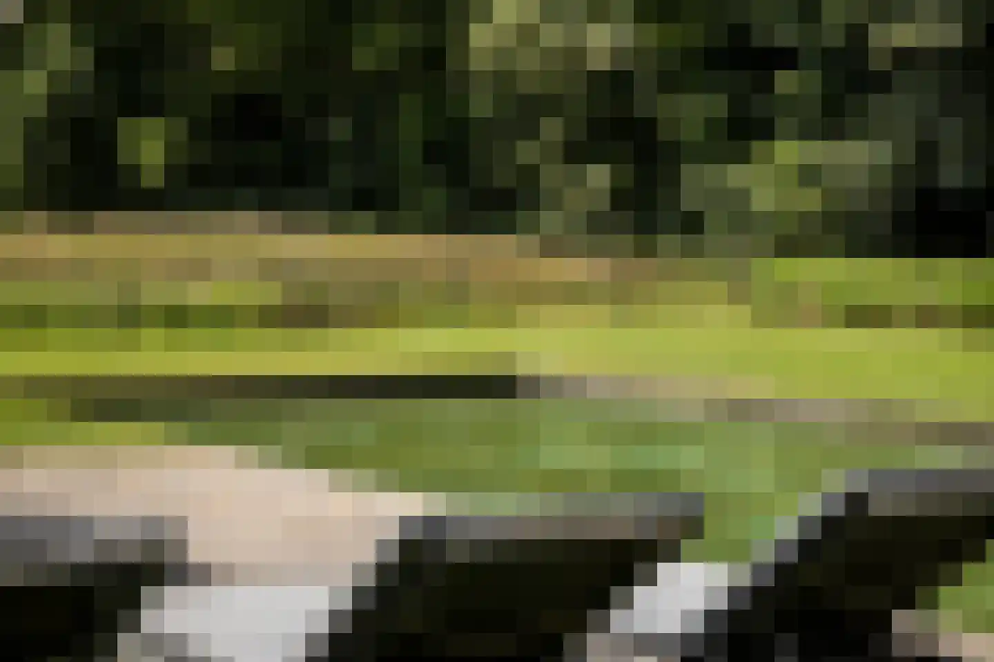 Ravensweerdsweg 10 Gorssel thumbnail 28