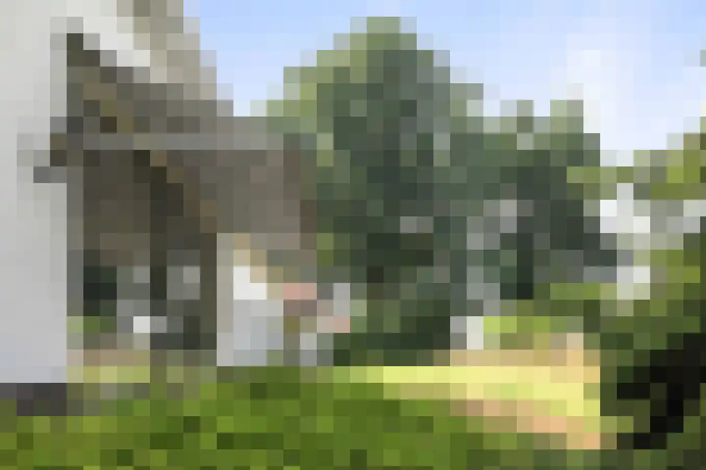 Ravensweerdsweg 10 Gorssel thumbnail 29