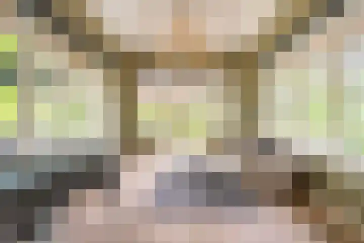 Ravensweerdsweg 3 Gorssel thumbnail 10