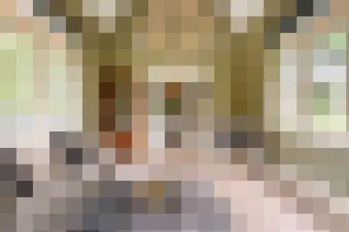 Ravensweerdsweg 3 Gorssel thumbnail 11